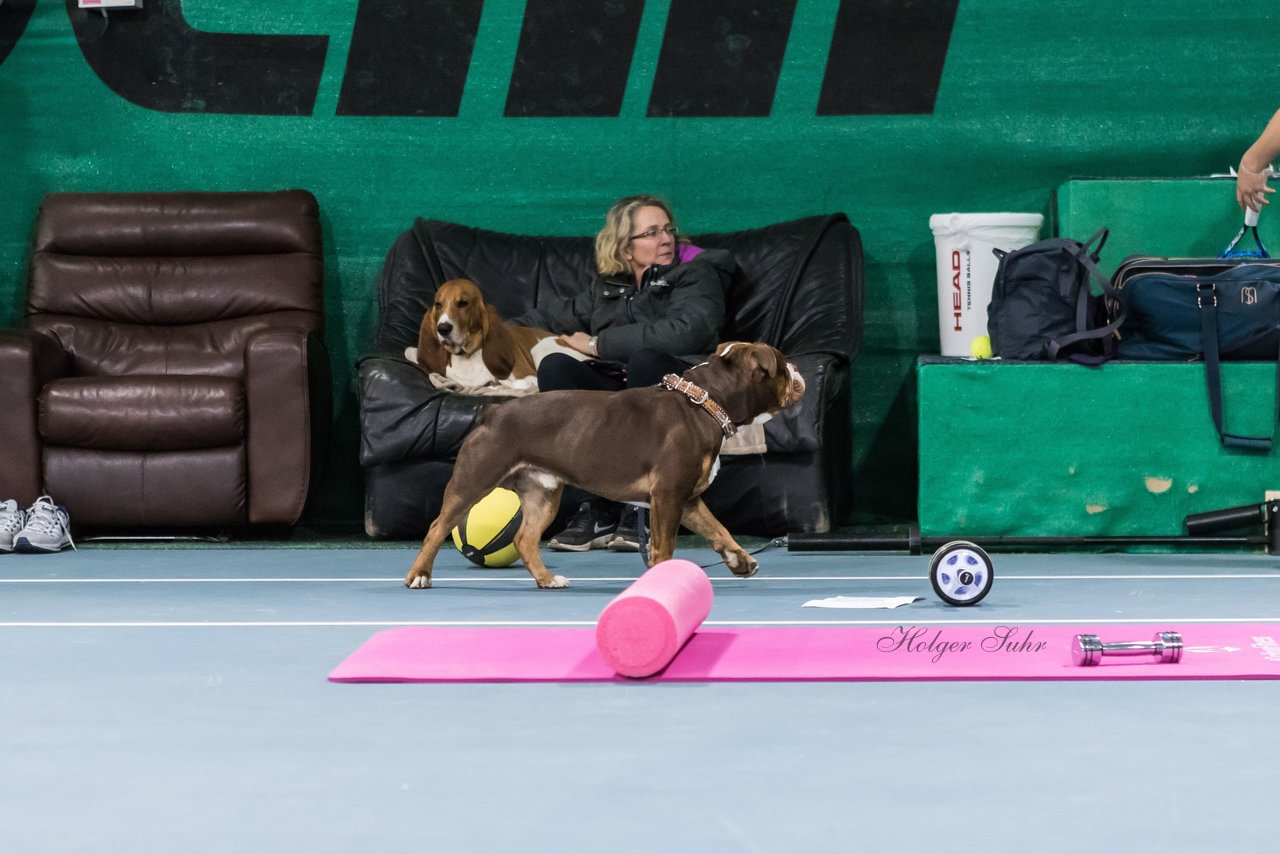 Training am 22.12.17 46 - Carina beim Training